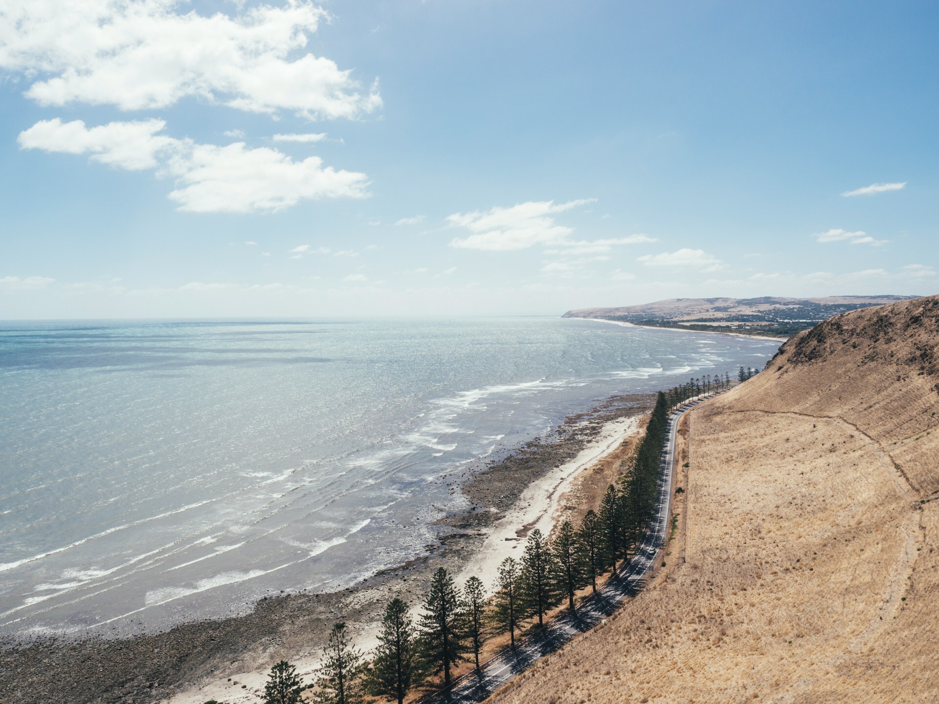 Marcus wallis Normanville