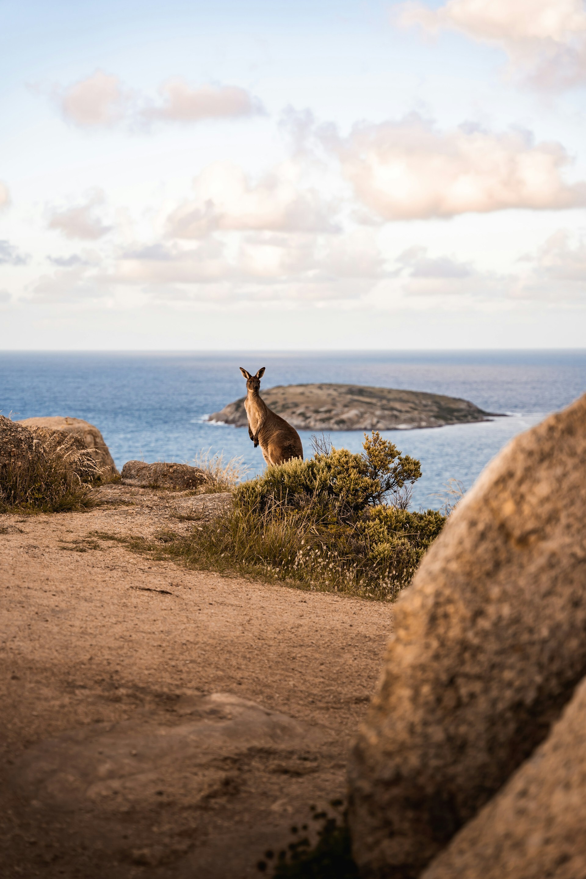 Zac edmonds victorharbor unsplash